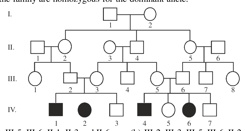 Question 93 image