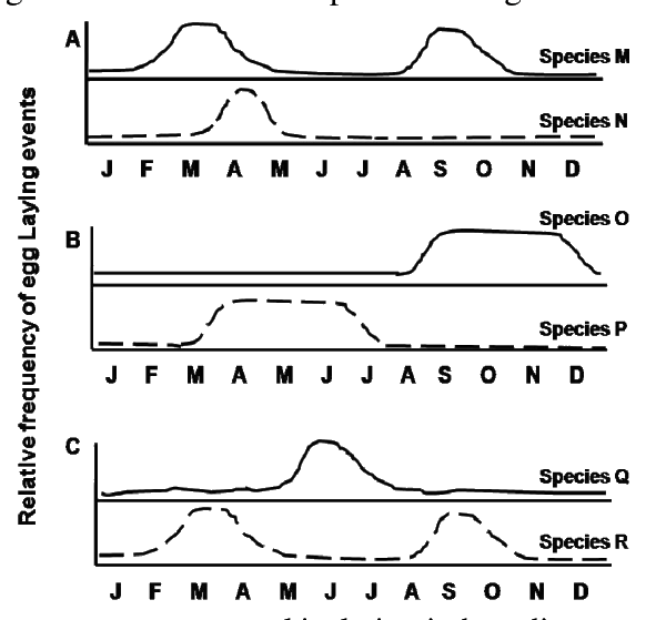Question 105 image