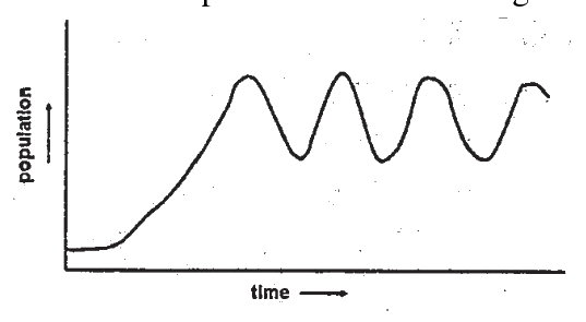 Question 96 image