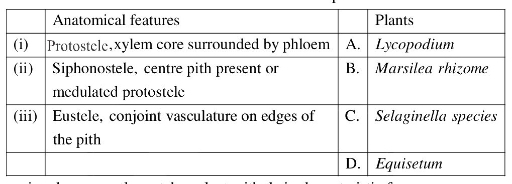 Question 107 image