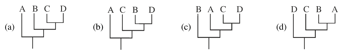 Question 96 image
