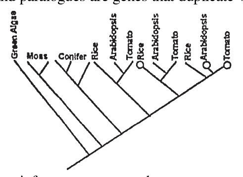 Question 99 image