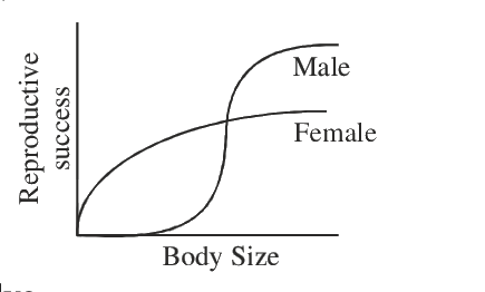 Question 103 image