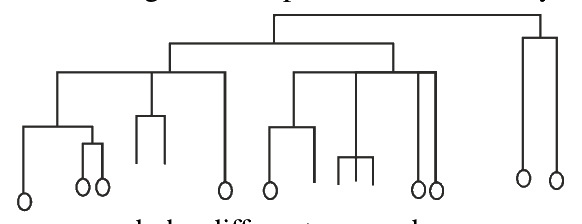 Question 104 image