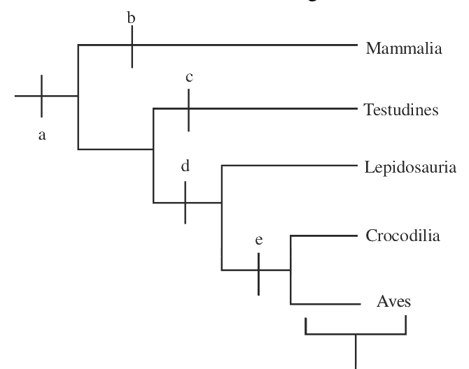 Question 112 image