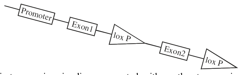 Question 101 image