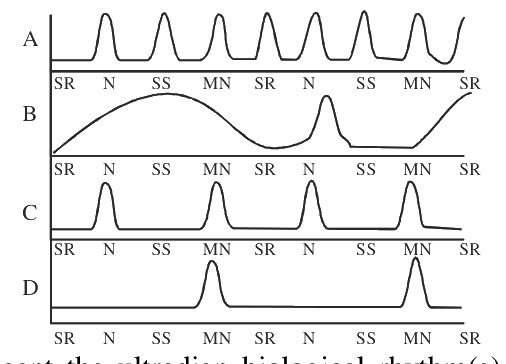 Question 89 image