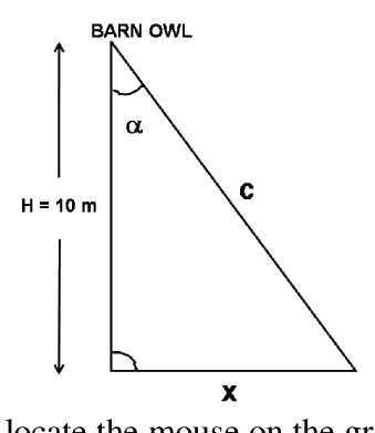 Question 112 image