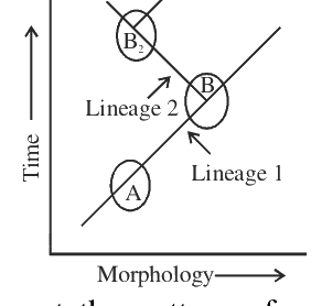 Question 91 image