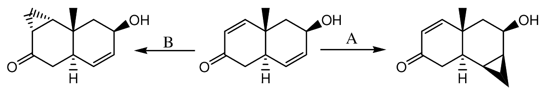 Question 117 image