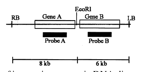Question 117 image