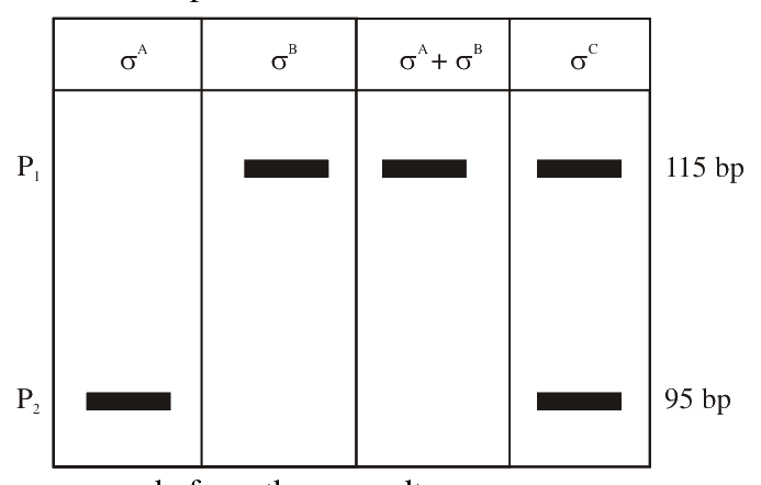 Question 119 image