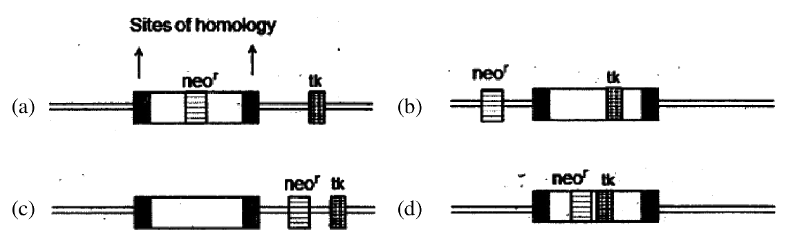 Question 110 image
