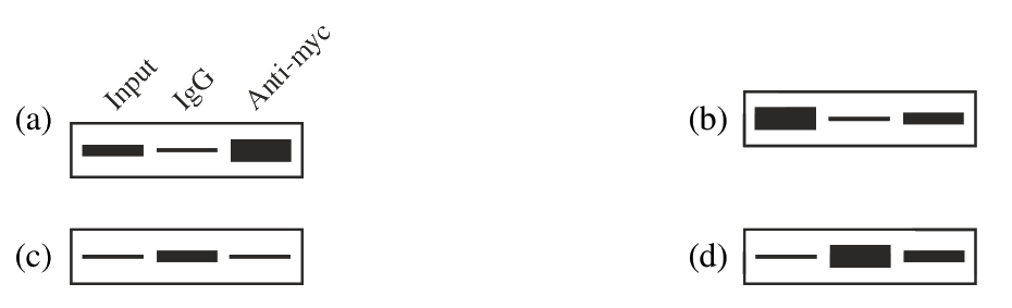 Question 122 image