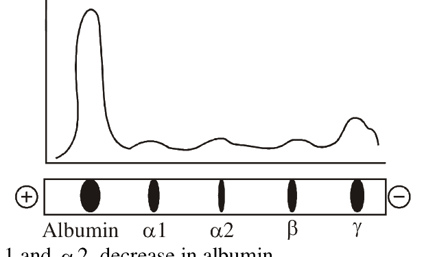 Question 125 image