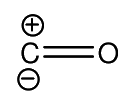 Question 30 image