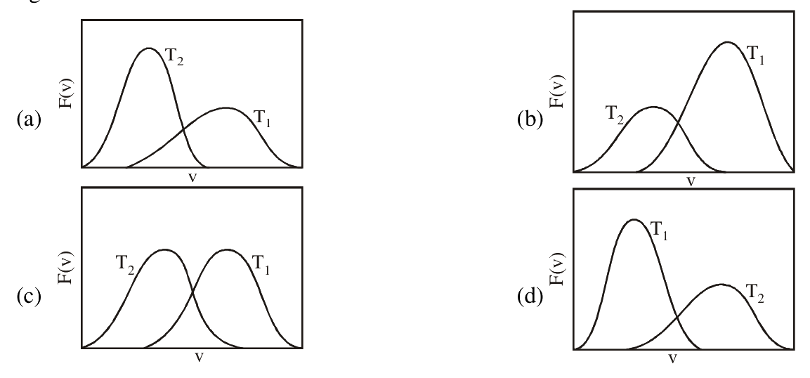 Question 4 image