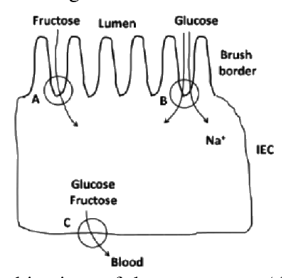 Question 54 image