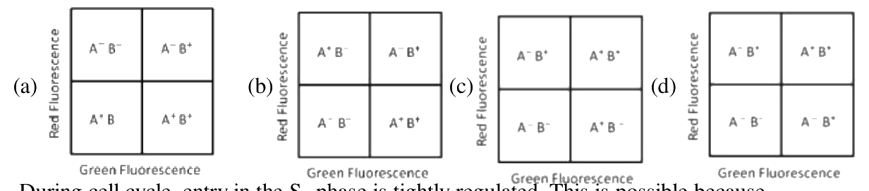 Question 57 image