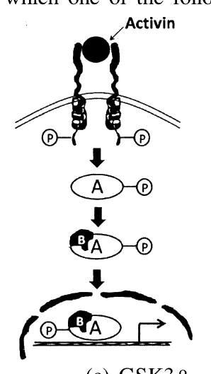 Question 13 image