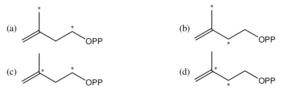Question 36 image