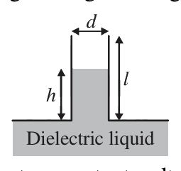 Question 6 image