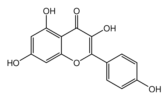 Question 22 image