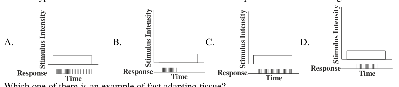 Question 25 image