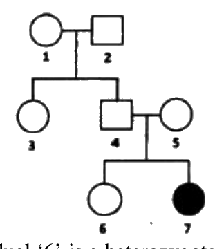 Question 28 image