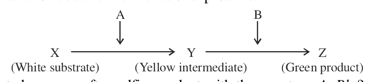 Question 29 image