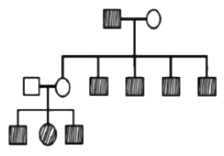 Question 29 image