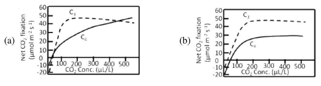 Question 96 image