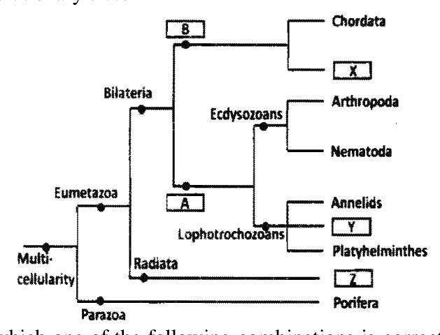 Question 31 image
