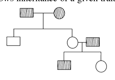 Question 31 image