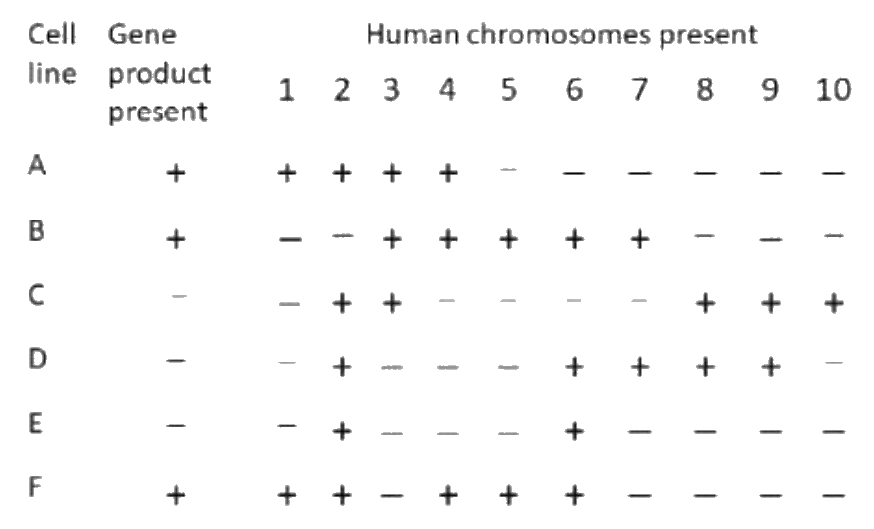 Question 32 image