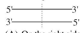 Question 98 image