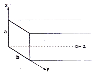 Question 29 image