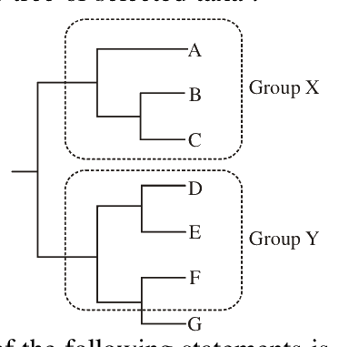 Question 38 image
