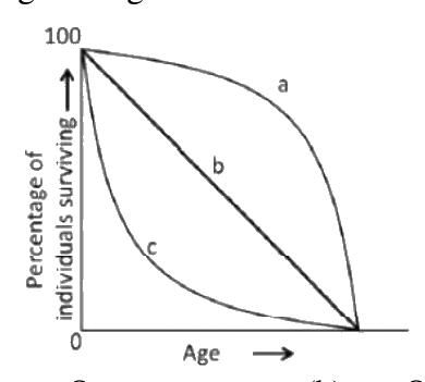 Question 38 image