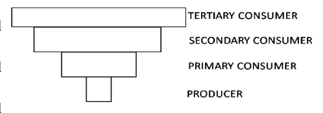 Question 40 image