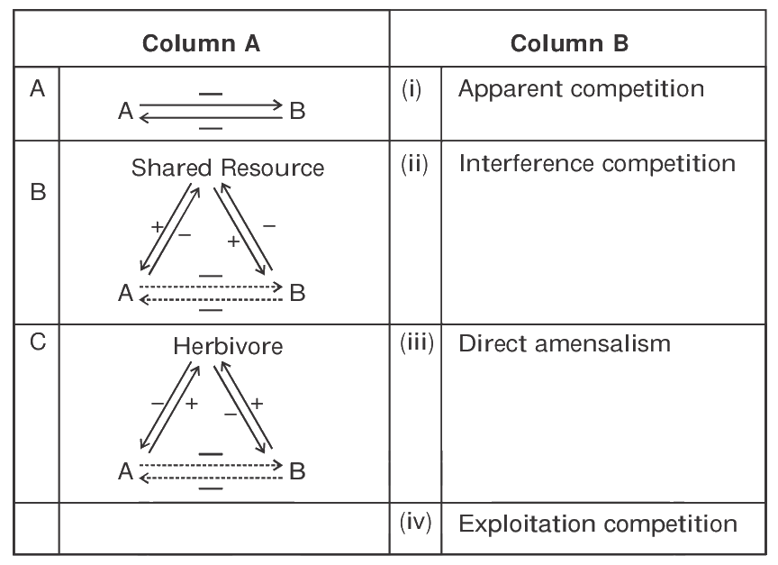 Question 40 image