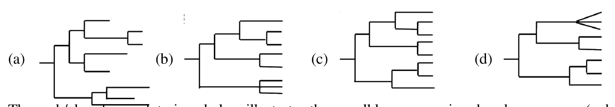 Question 43 image