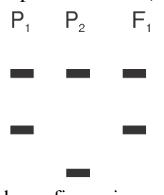 Question 44 image