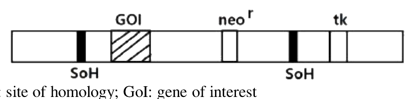 Question 46 image