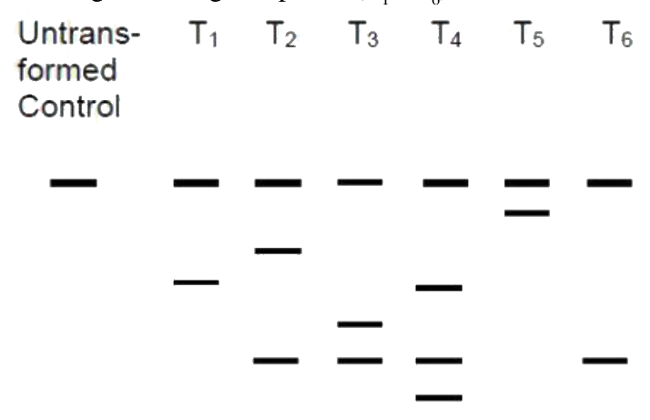Question 48 image