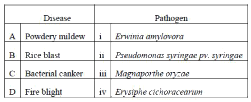 Question 120 image