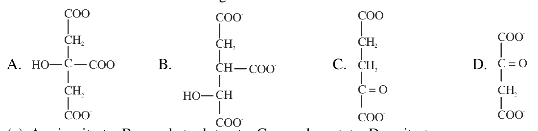 Question 55 image