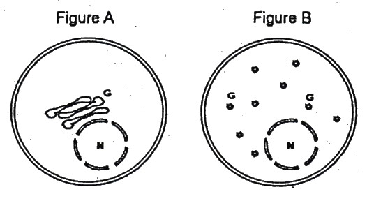 Question 56 image