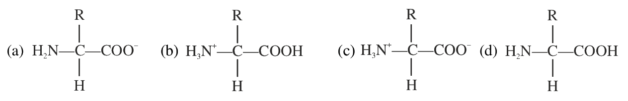 Question 58 image