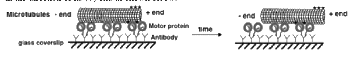 Question 58 image